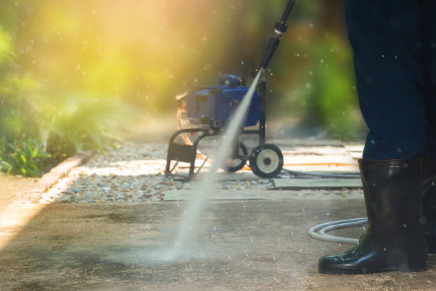 Best Fence Cleaning and Maintenance in Lewisburg, KY